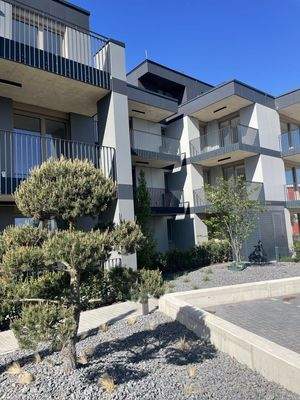 4KVuYagWQ6xIkrDjdF41M1