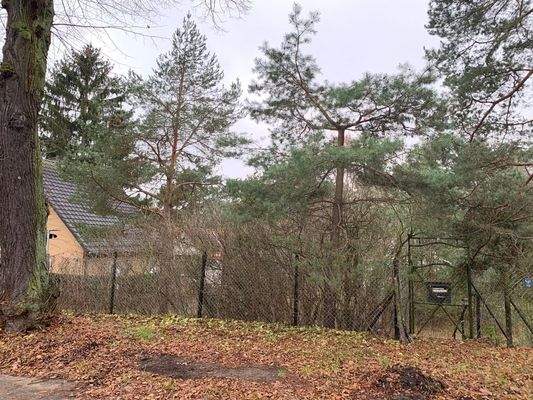 Straßenansicht im Herbst