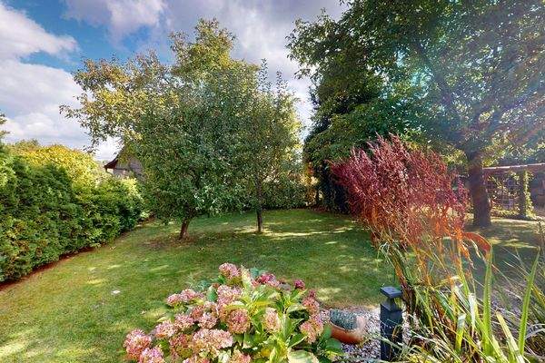 Garten vom Teich aus