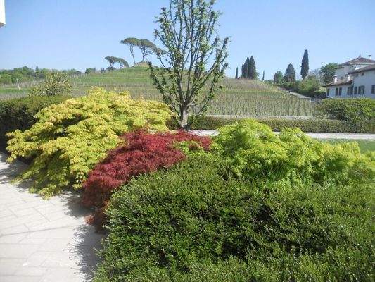 Views from the Driveway