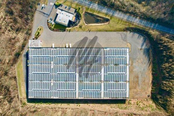 INFOS UNTER: 06171-586000