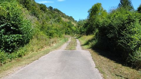 Bockenau Bauernhöfe, Landwirtschaft, Bockenau Forstwirtschaft