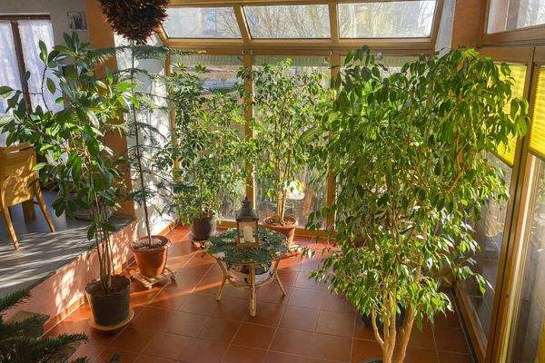 Wohnzimmer Richtung Wintergarten.jpg