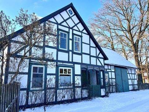 Trebel Häuser, Trebel Haus kaufen