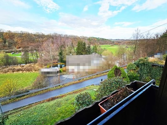 Ausblick vom Balkon OG