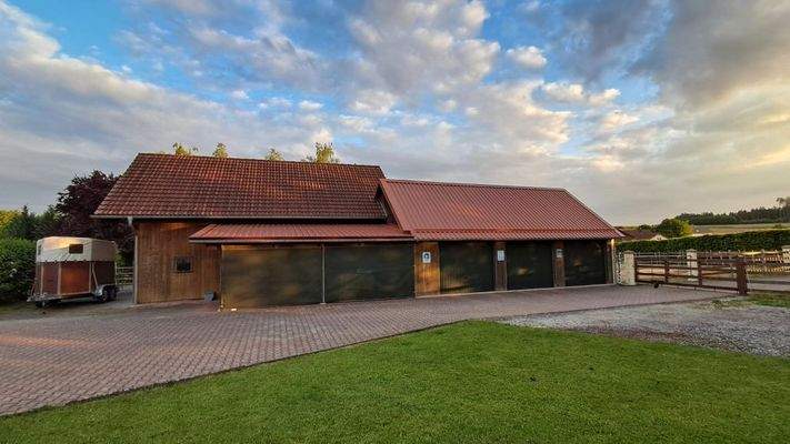 Wiese/Koppel nordseitig