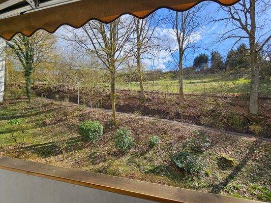 idyllischer Ausblick in die Natur