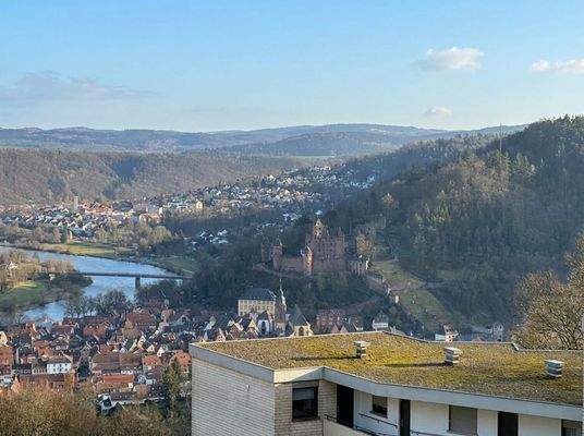 Blick über Wertheim