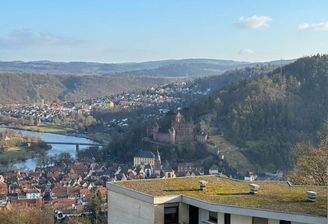 Blick über Wertheim