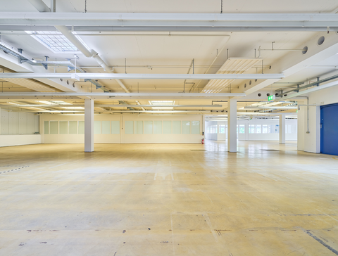 Frickenhausen Halle, Frickenhausen Hallenfläche