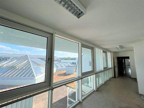 Zweibrücken Büros, Büroräume, Büroflächen 