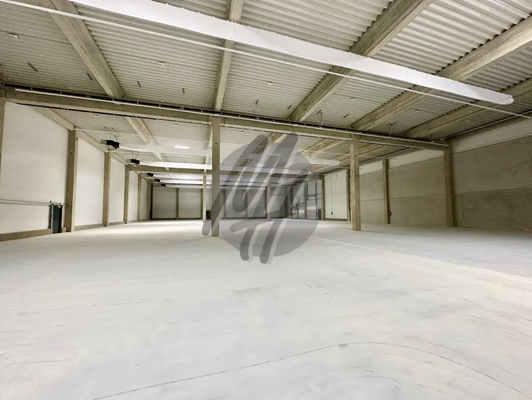 INFOS UNTER: 06171-586000