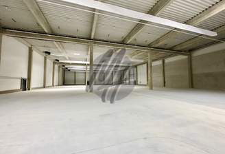 INFOS UNTER: 06171-586000