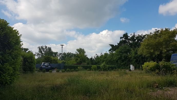 Baugrundstück für Haus-Neubau provisionsfrei in