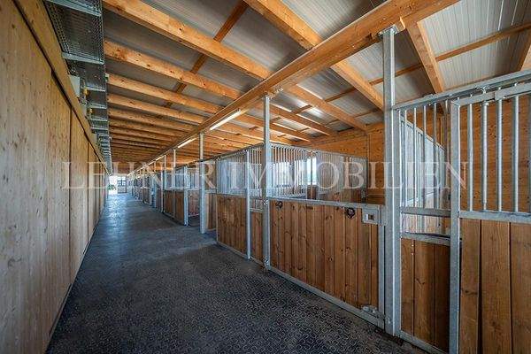 Lehner Immobilien Bild 92