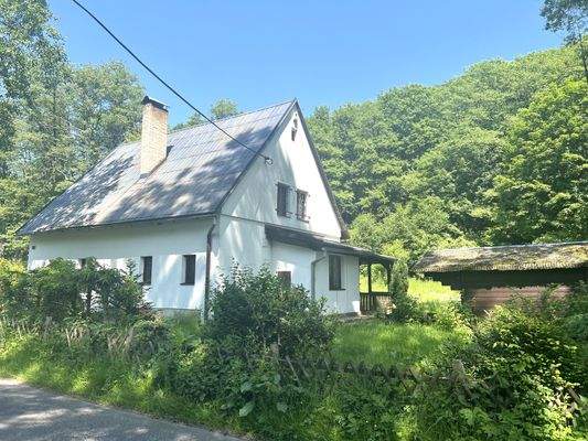 Vorderansicht II.jpg