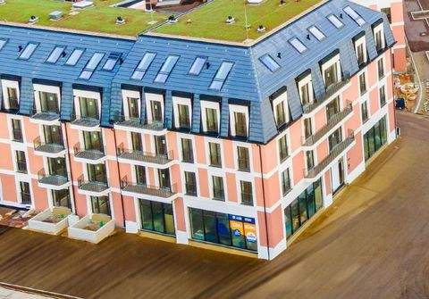 Dresden Ladenlokale, Ladenflächen 