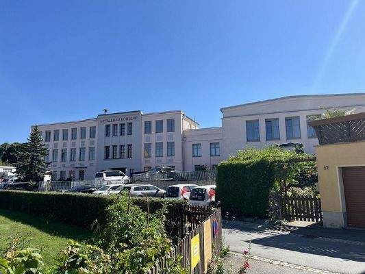 2025-08-19_14-52-31_IMG_6269