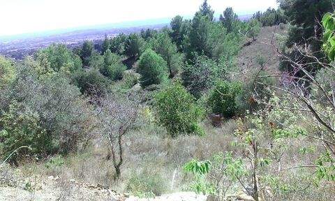 Castellvell del Camp Grundstücke, Castellvell del Camp Grundstück kaufen