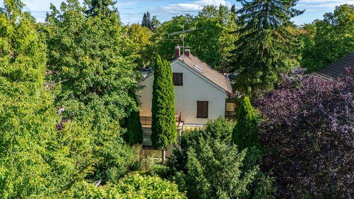 Drohnenaufnahme Altbestand