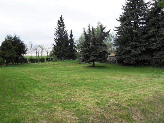 hier ist viel Platz für Ihren eigenen Hund!