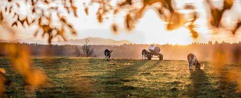 Holzkirchen Grundstücke, Holzkirchen Grundstück kaufen
