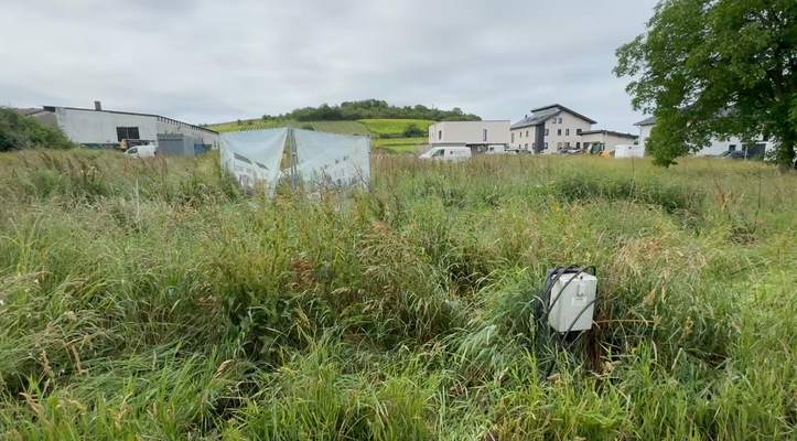 Ansicht vom Heddesheimer Weg