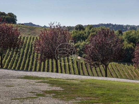 Imposantes Anwesen | Monteriggioni