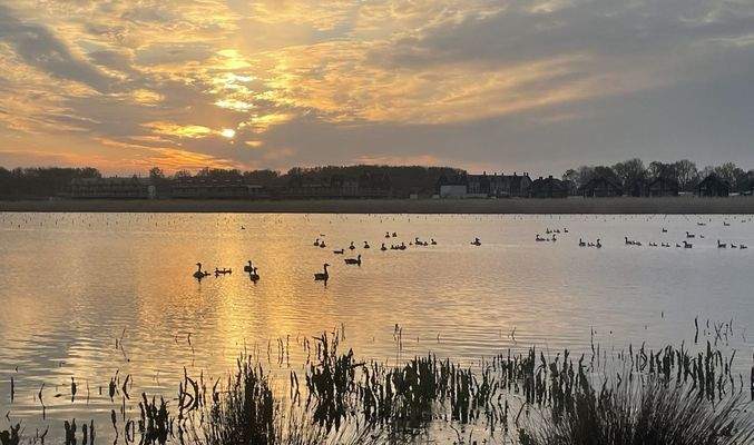 Ferienhaus Kampen kaufen007