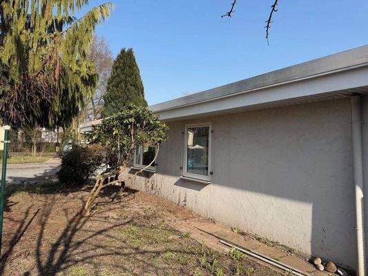 Die seitliche Ansicht