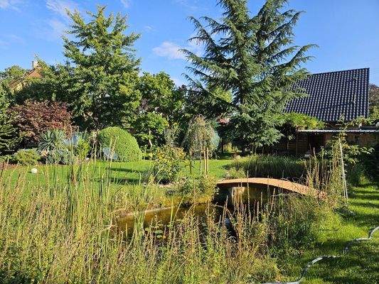 Sommerimpression Teich