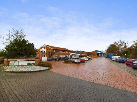 Fallingbostel Halle, Fallingbostel Hallenfläche