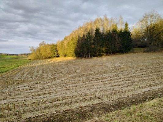 Acker- und Waldfläche