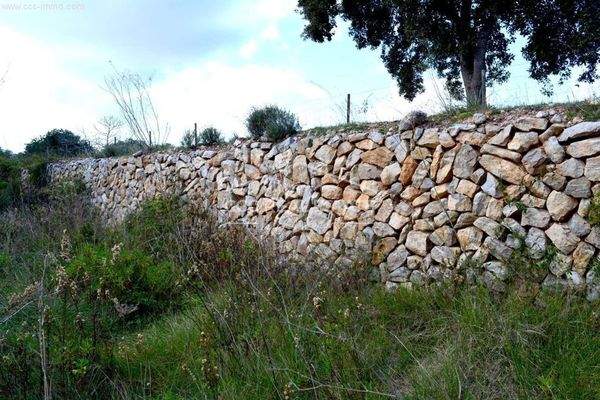 ...komplett eingezäuntes Grundstück