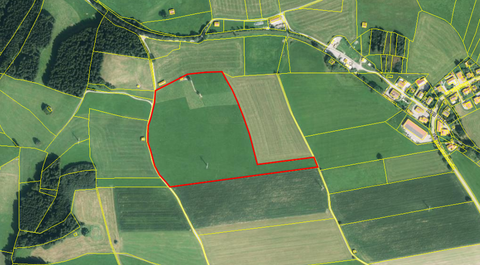 Ingenried Bauernhöfe, Landwirtschaft, Ingenried Forstwirtschaft