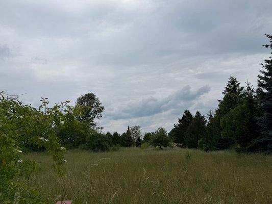 Grundstückansicht (3).jpg