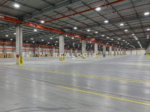 Ampfing Halle, Ampfing Hallenfläche