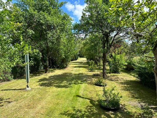 Garten mit schönen Baumbestand