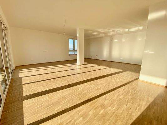 Wohn-, Koch- und Essbereich