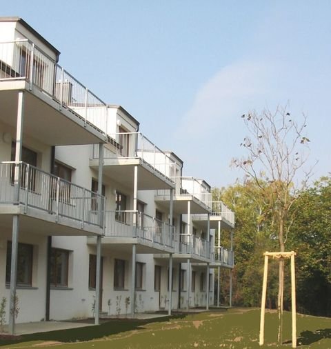 Katzelsdorf Wohnungen, Katzelsdorf Wohnung mieten