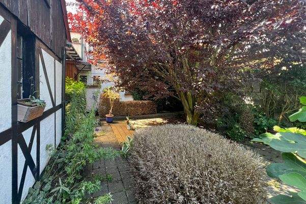 Blick zur Terrasse neben dem Haus