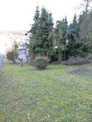 Blick aufs Grundstück