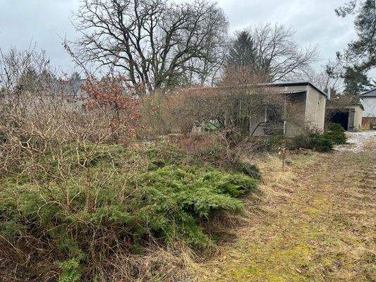 Grundstück vor der Laube.jpeg