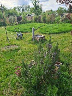 Blick in den Garten mit (Wild-)Wiesenbereich / eigener Brunnen