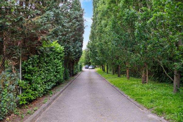 Gepflasteret Zufahrt