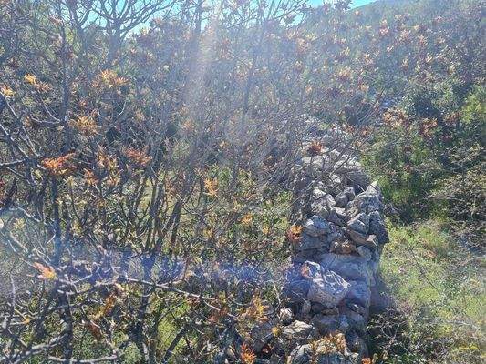 Hier könnte schon bald Ihr Traumhaus stehen