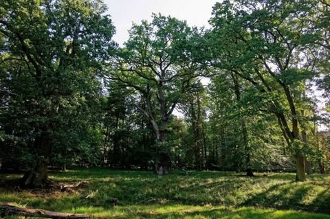 Sarospatak Grundstücke, Sarospatak Grundstück kaufen