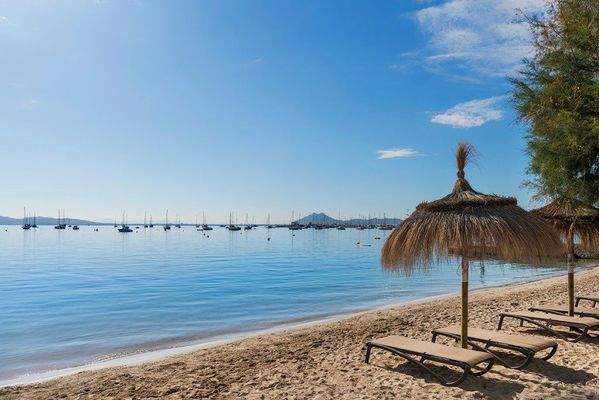 18 - IB Port Pollen�a