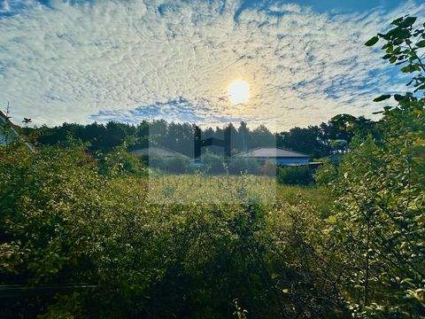 Bestensee Grundstücke, Bestensee Grundstück kaufen