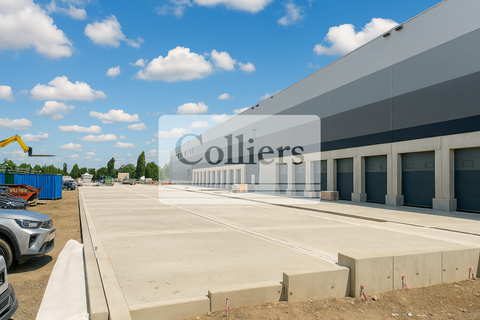 Velten Halle, Velten Hallenfläche